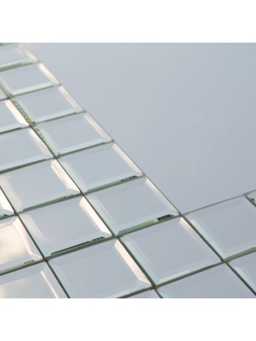 Specchio con Cornice Moderna Argento