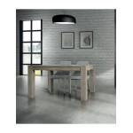 Tavolo Rovere Patinato con 2 allunghe