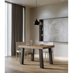 Consolle Tecno Evolution