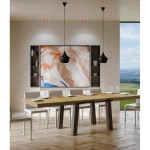 Consolle Tecno Evolution