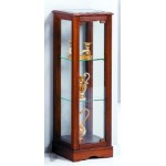 Vetrina 1 anta con zoccolo