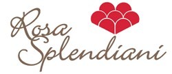 Rosa Splendiani